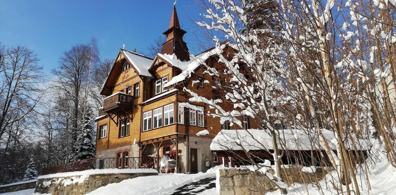 Willa Nimfa Apartamenty W Centrum Шклярска Поремба Екстериор снимка