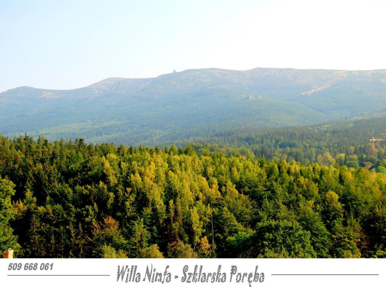 Willa Nimfa Apartamenty W Centrum Шклярска Поремба Екстериор снимка